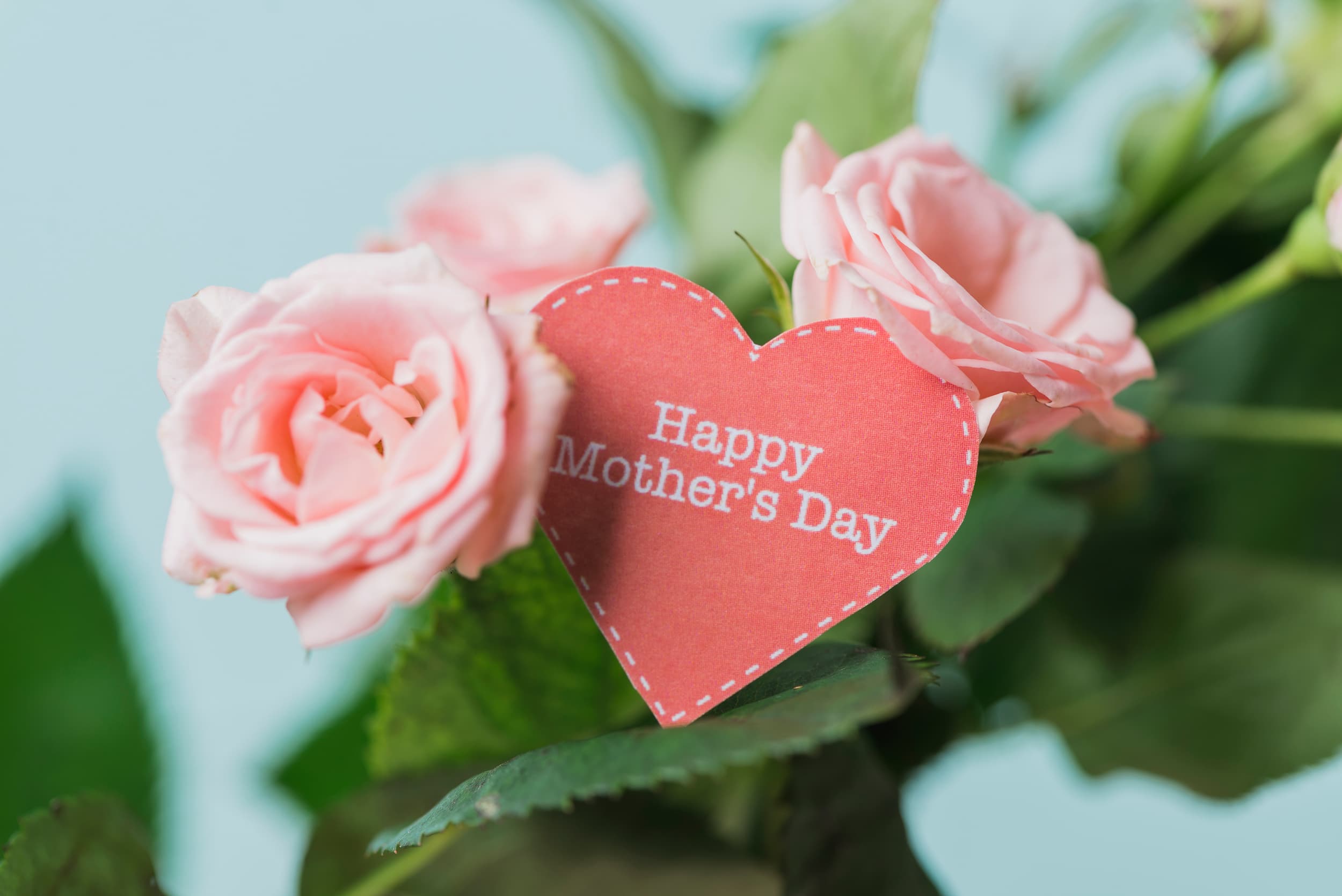 The Ultimate Mother's Day Message Guide: 80+ Things to Write in Your Card (2026)