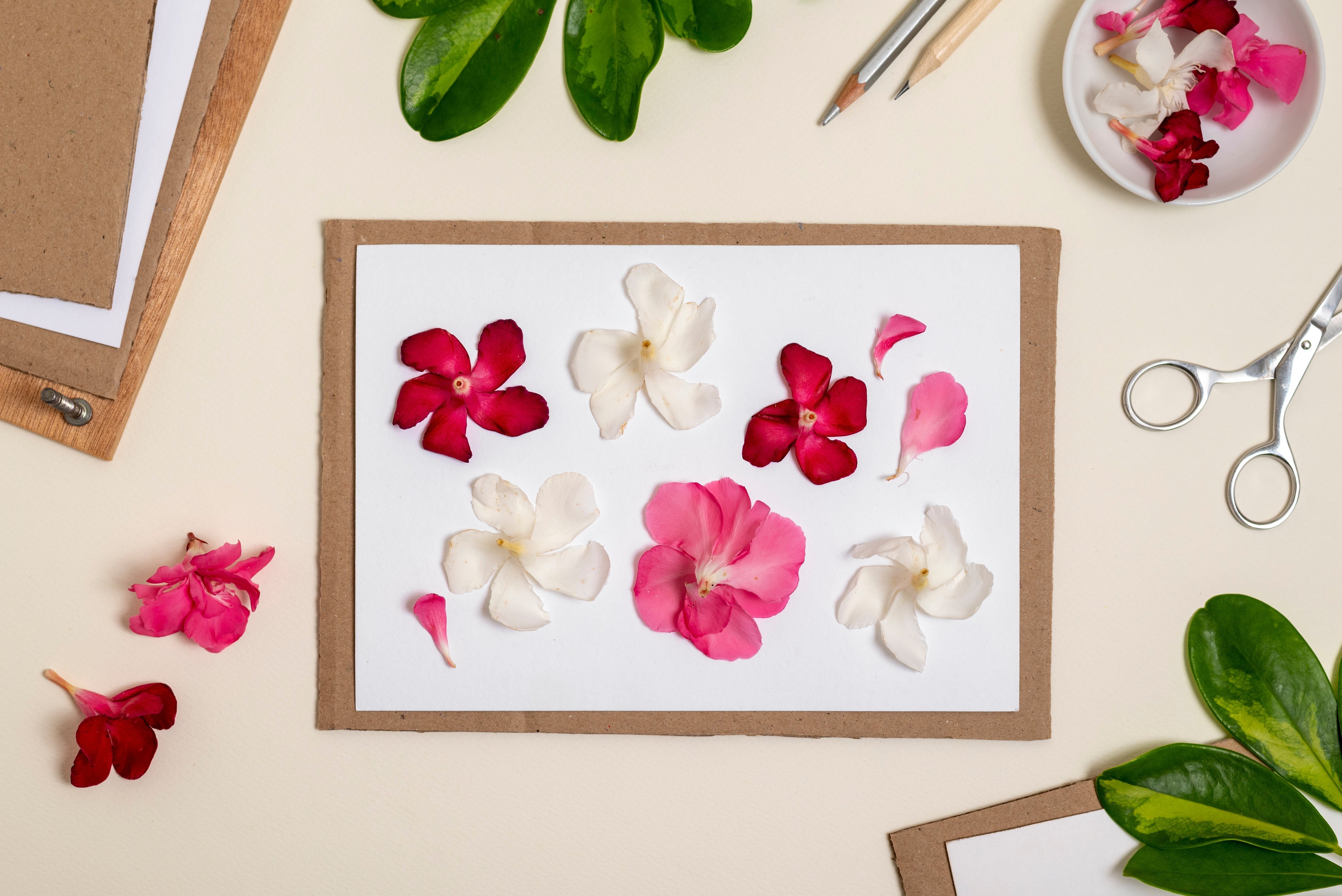 How to Make Preserved Flowers Last for Years: The Ultimate Care Guide