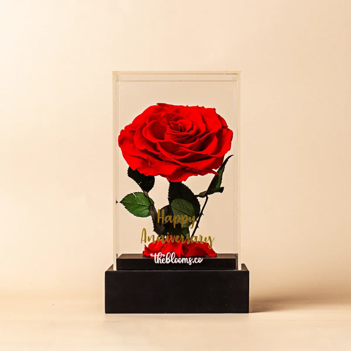 Front view of a single red preserved rose with its stem and leaves, inside a clear acrylic box with a custom gold inscription. The arrangement displayed on a acrylic box.