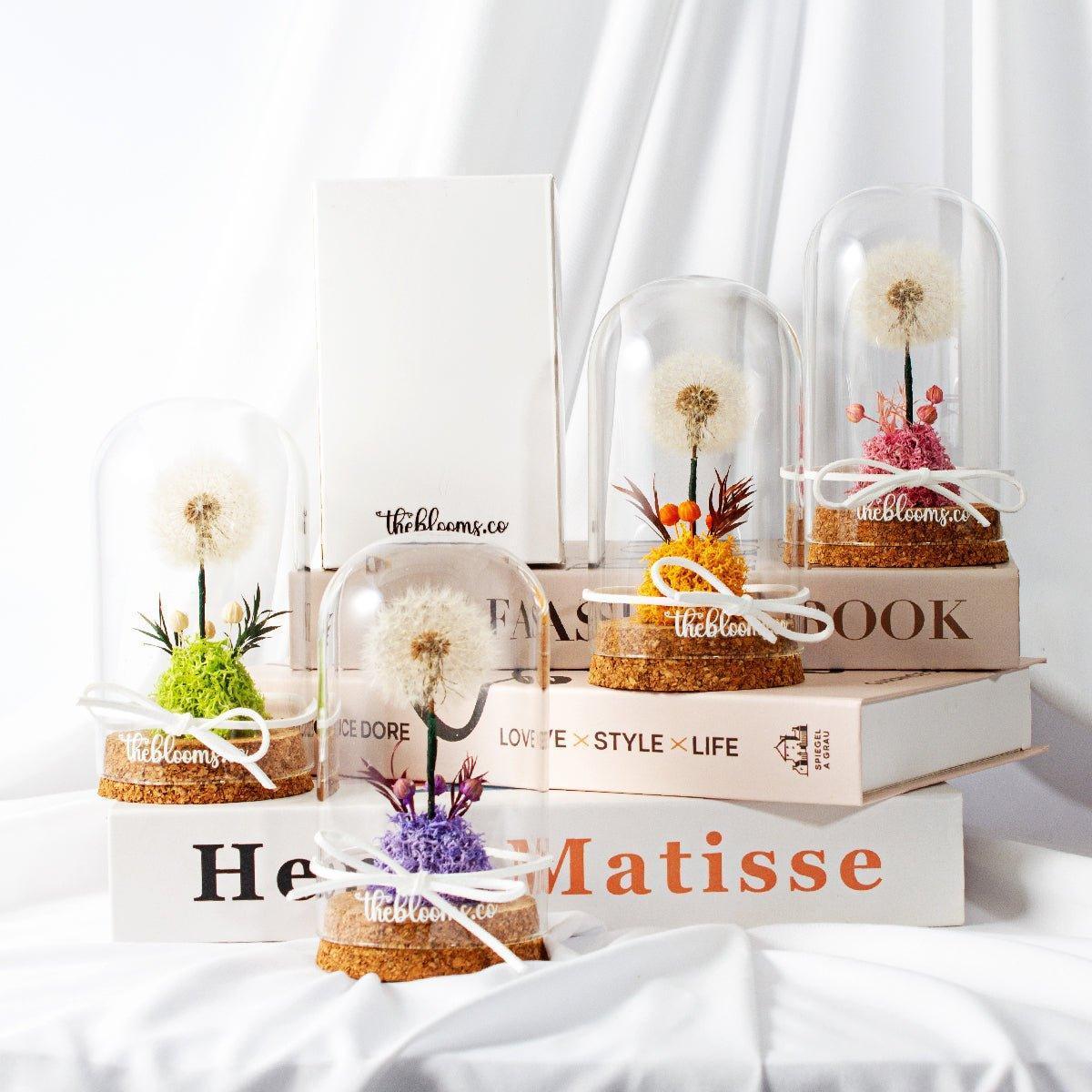 A collection of four preserved dandelions in individual glass domes, each with a branded cork base and a white ribbon. The domes are displayed on stacked books against a white backdrop.