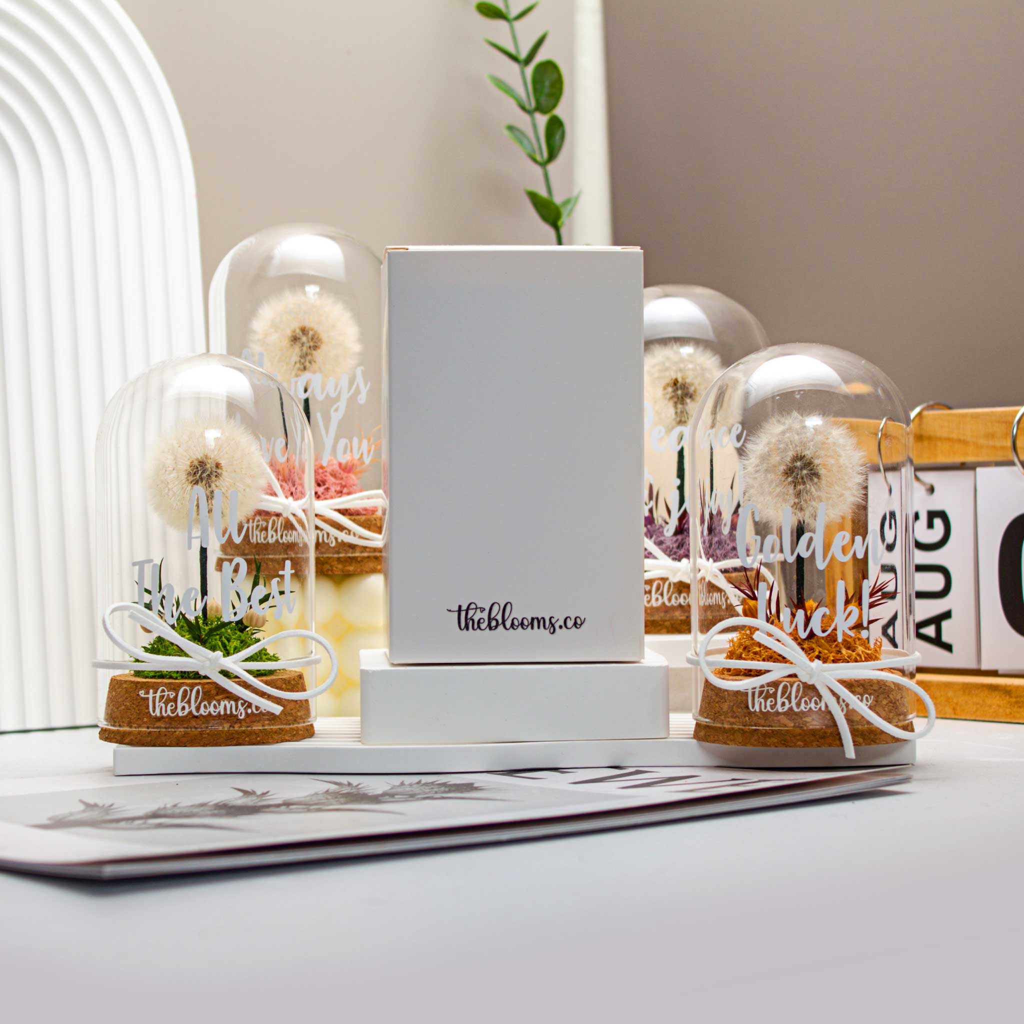 A collection of four preserved dandelions in individual glass domes, each with a branded cork base and a white ribbon. The domes are displayed on stacked books against a white backdrop.