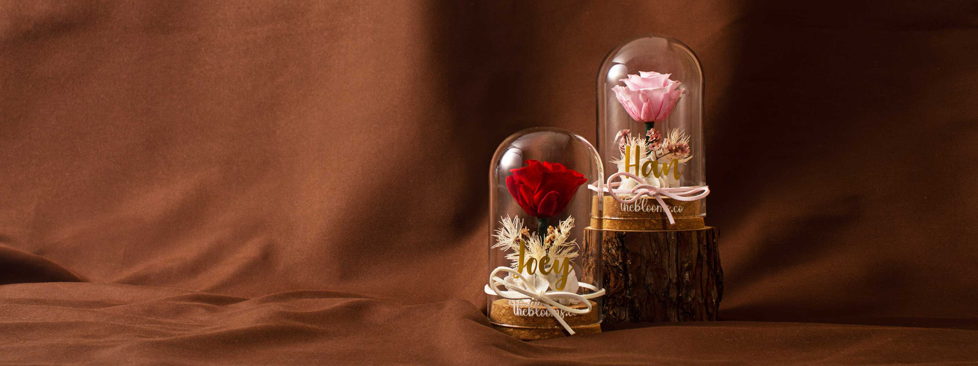 Preserved red and pink roses in glass domes on a brown background.