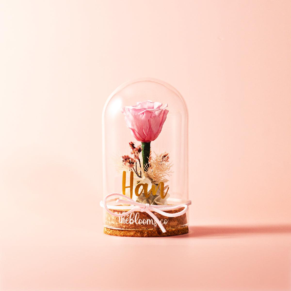Pink preserved rose displayed in a clear glass dome with ribbon and delicate dried flowers. Romantic and thoughtful floral gift from TheBlooms.co, perfect for birthdays, Mother’s Day, or heartfelt surprises.