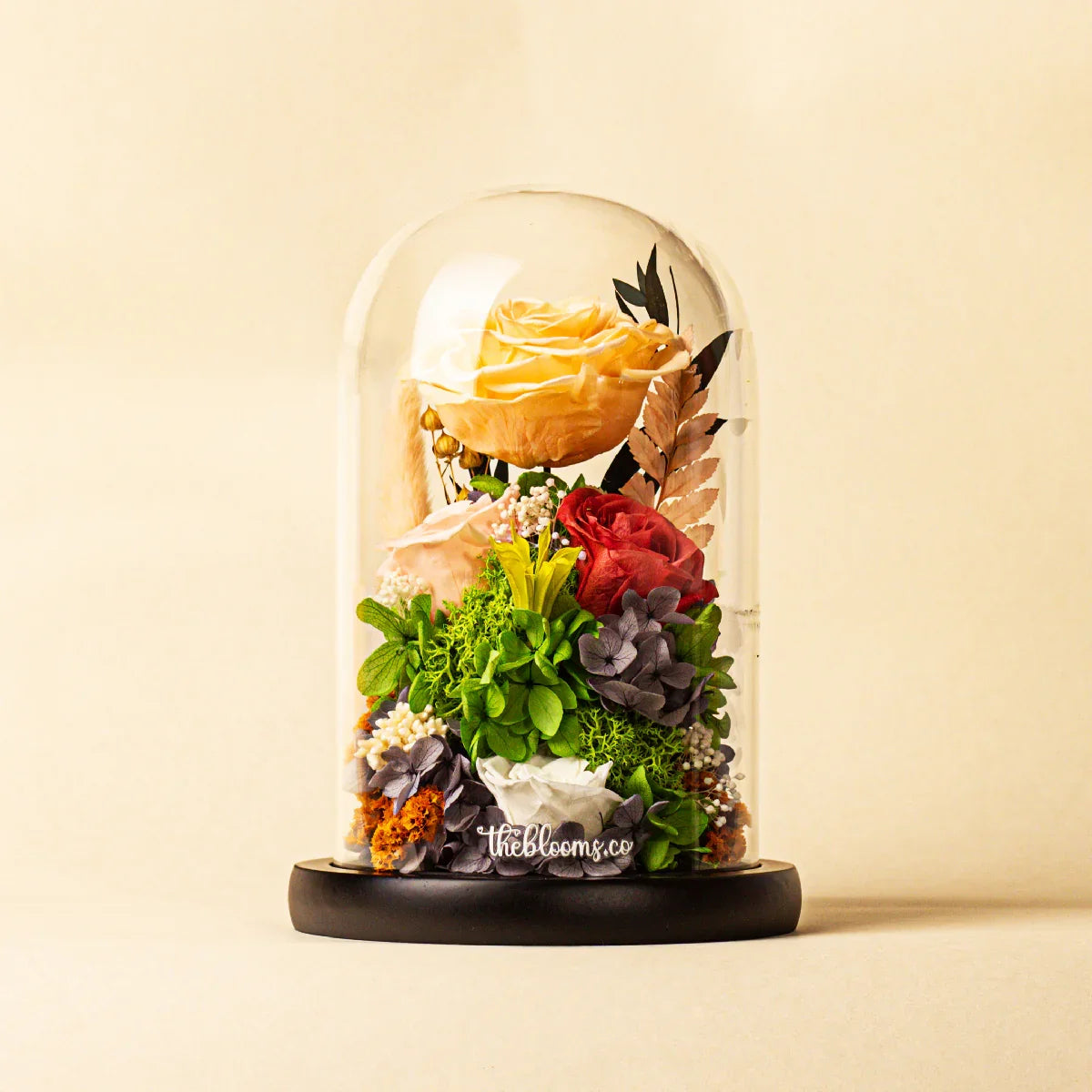 Front view of Theblooms.co's preserved rose arrangement in a glass dome, featuring yellow, red, and pink roses with various dried flowers and moss on a black wooden base against a beige background.