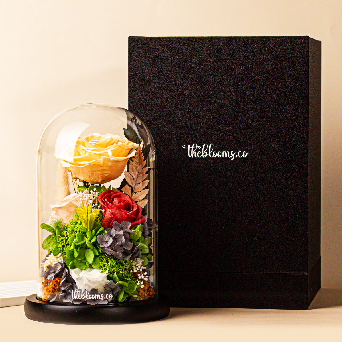 Preserved floral arrangement in a glass dome with yellow, red, and pink roses, next to a black gift box labeled 'theblooms.co'.
