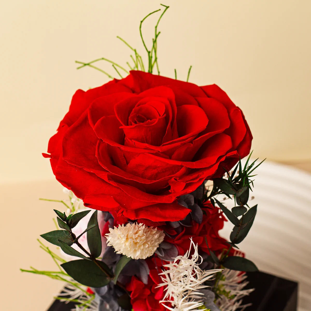 A red preserved rose floral arrangement with white and other accent flowers on a black square base, with a white wavy decorative object to the side.