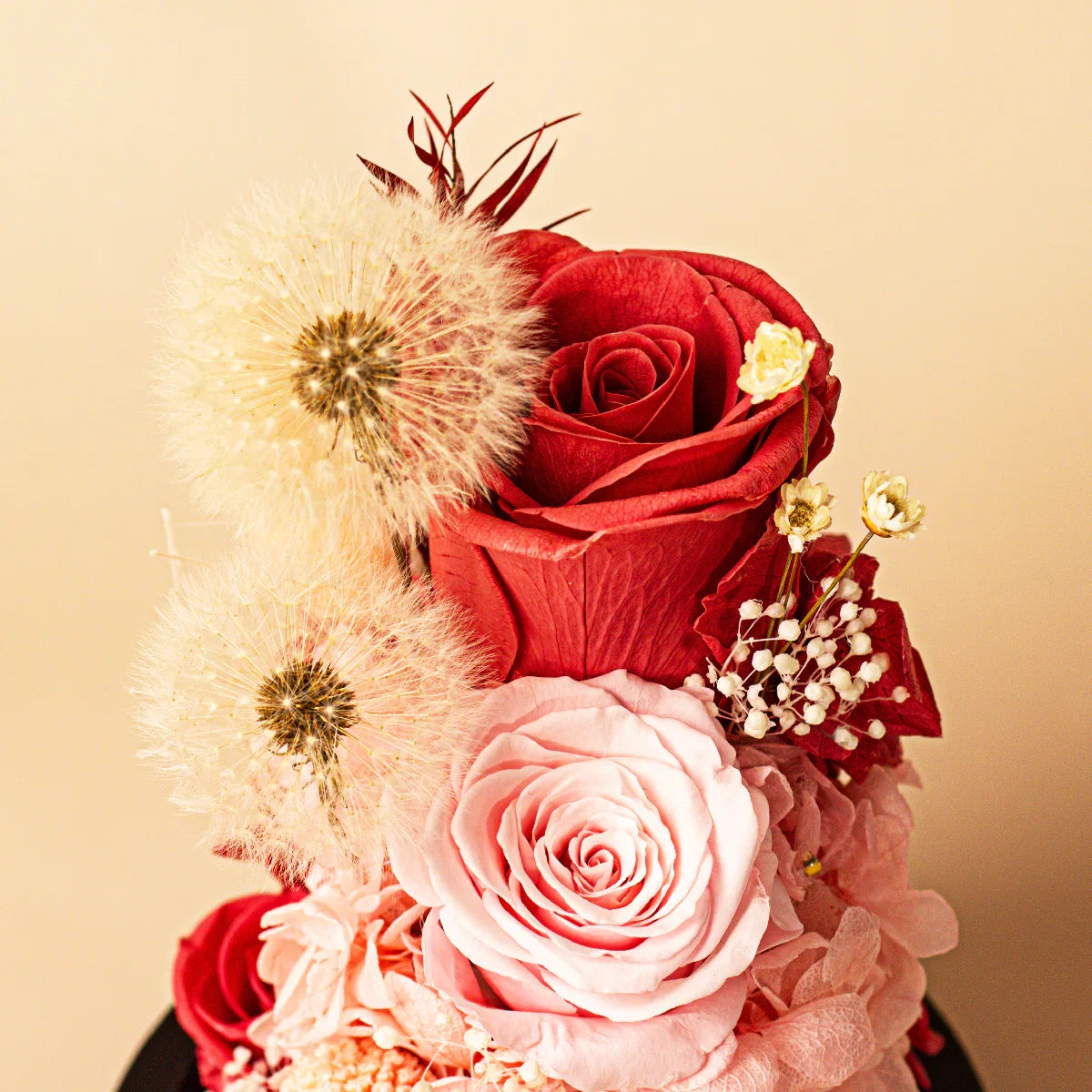 Close-up view of preserved red and pink roses with delicate dried flowers and fluffy dandelions inside a glass dome, premium floral decor by Theblooms.co