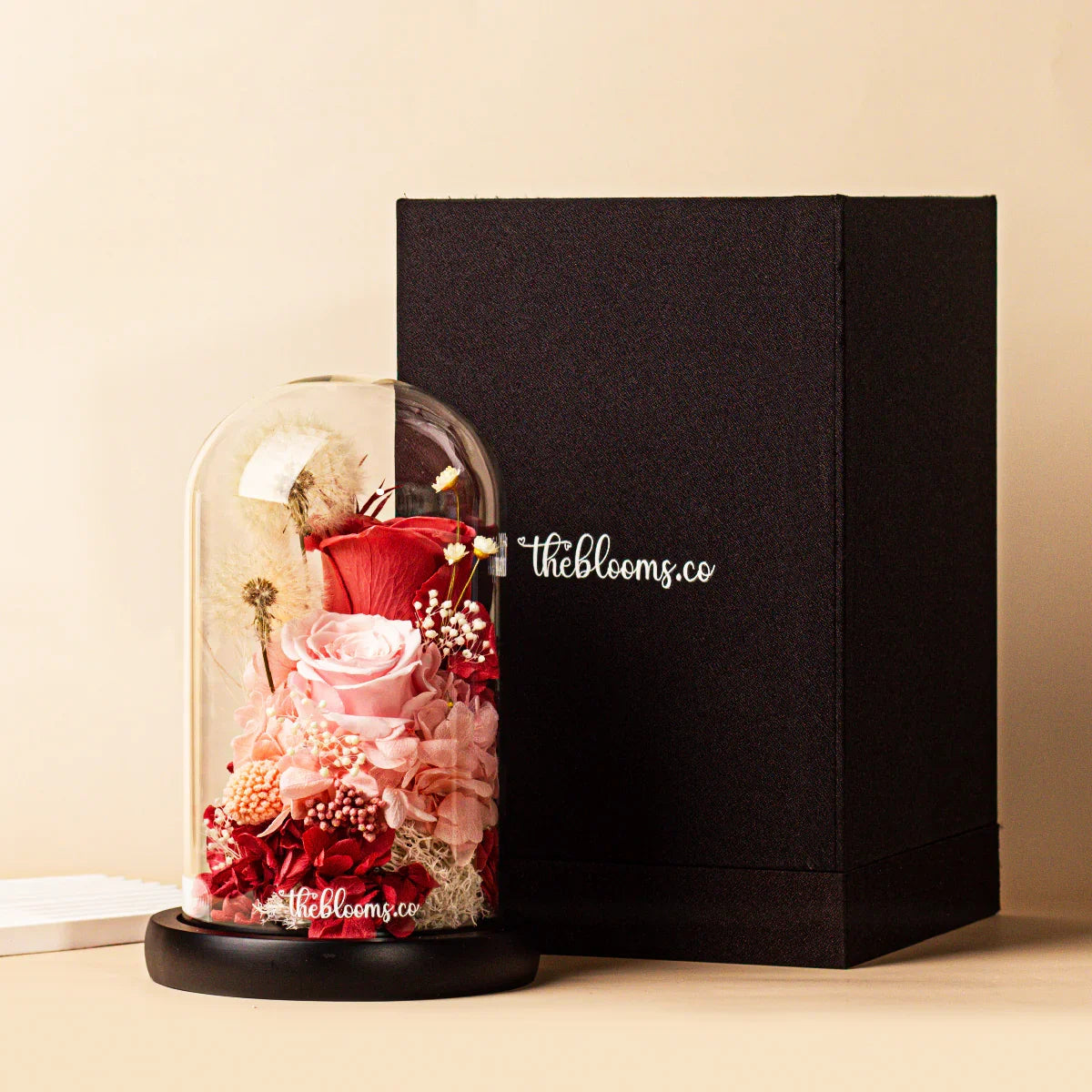 Elegant preserved pink and red rose floral arrangement under a glass dome with dandelion dried flowers and moss, displayed next to a black gift box—perfect luxury gift by Theblooms.co.