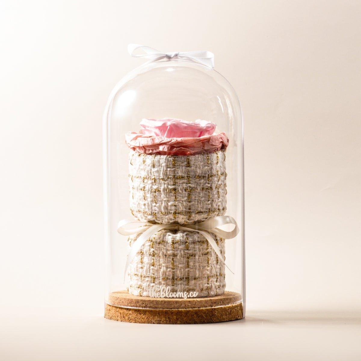 A large, light pink preserved rose sits atop a two-tiered, cylindrical base. The base is covered in a white tweed-like fabric with gold threading. The entire arrangement is encased in a tall, clear glass dome with a ribbon tied at the top. Another ribbon is tied around the base of the upper tier. The display rests on a round cork base, and the logo "theblooms.co" is visible on the base. The background is a plain, light beige color.