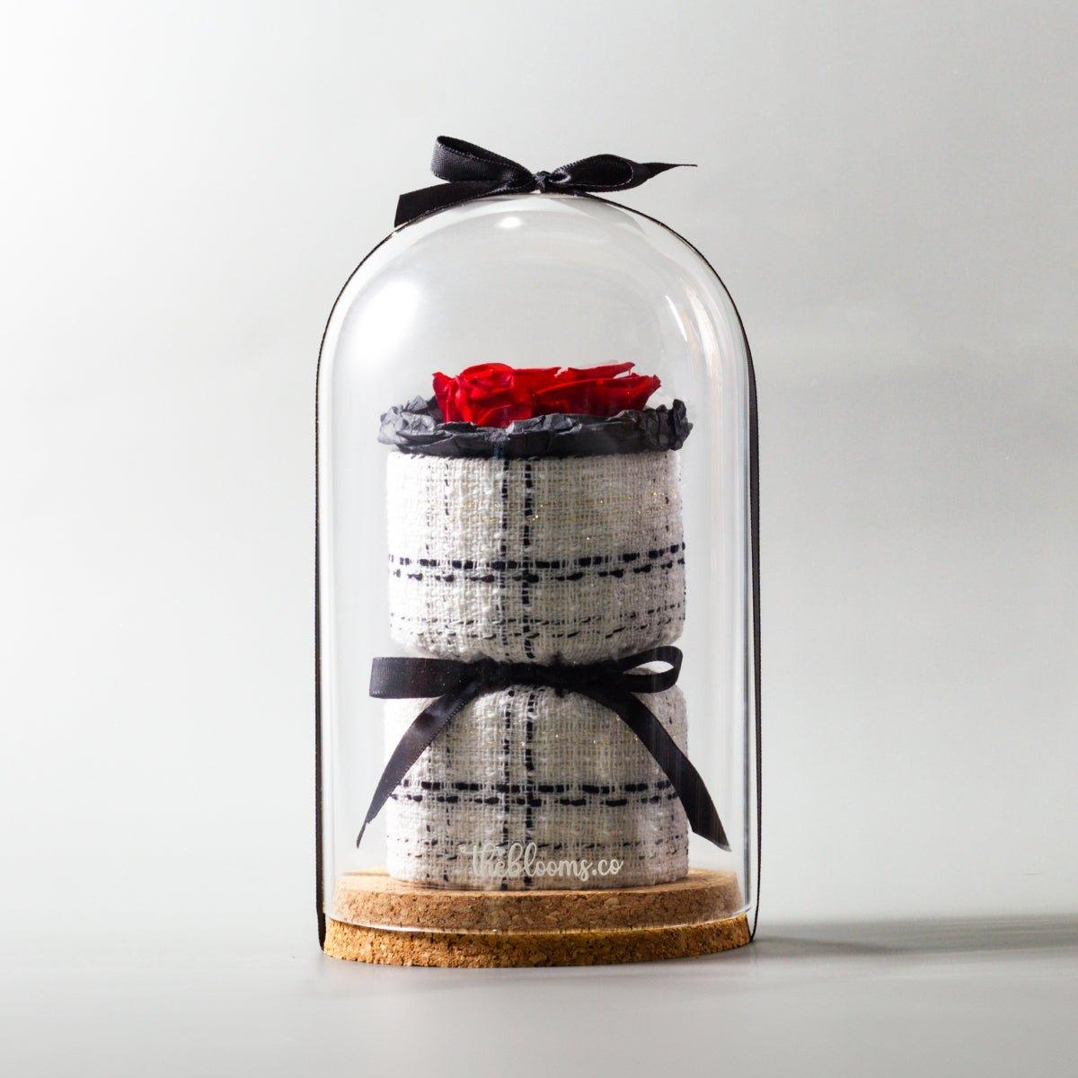 A single red preserved rose sits on a two-tiered, cylindrical base. The base is covered in a white tweed-like fabric with a black plaid pattern. The entire arrangement is encased in a tall, clear glass dome with a black ribbon tied at the top and another around the middle of the base. The display rests on a round cork base, and the logo "theblooms.co" is visible. The background is a solid, light gray color.