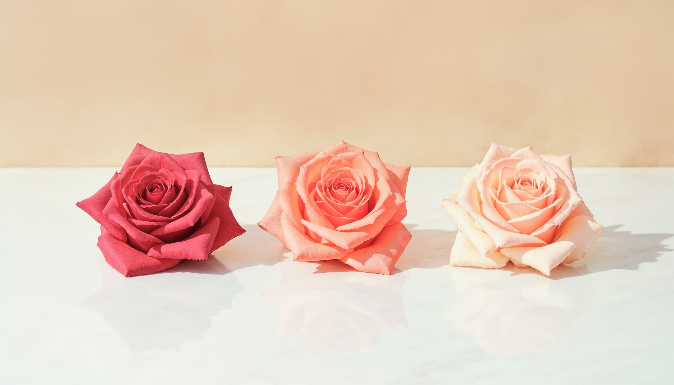 Soap Flowers vs Preserved Flowers: Which Is the Better Gift in Malaysia? (2026)
