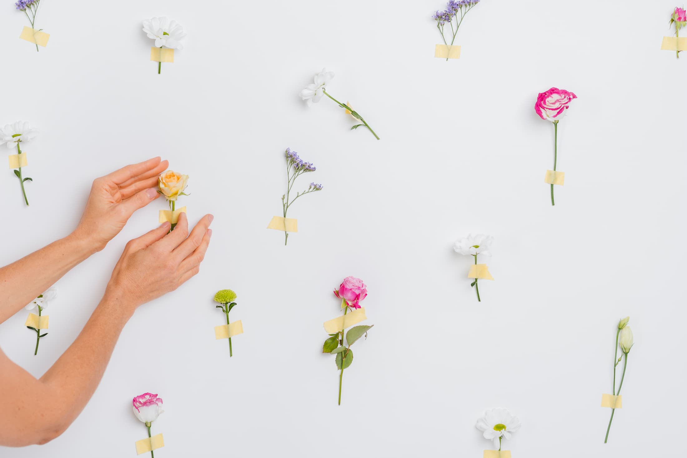 Preserved Flower Care: How to Keep Your Blooms Beautiful for Years