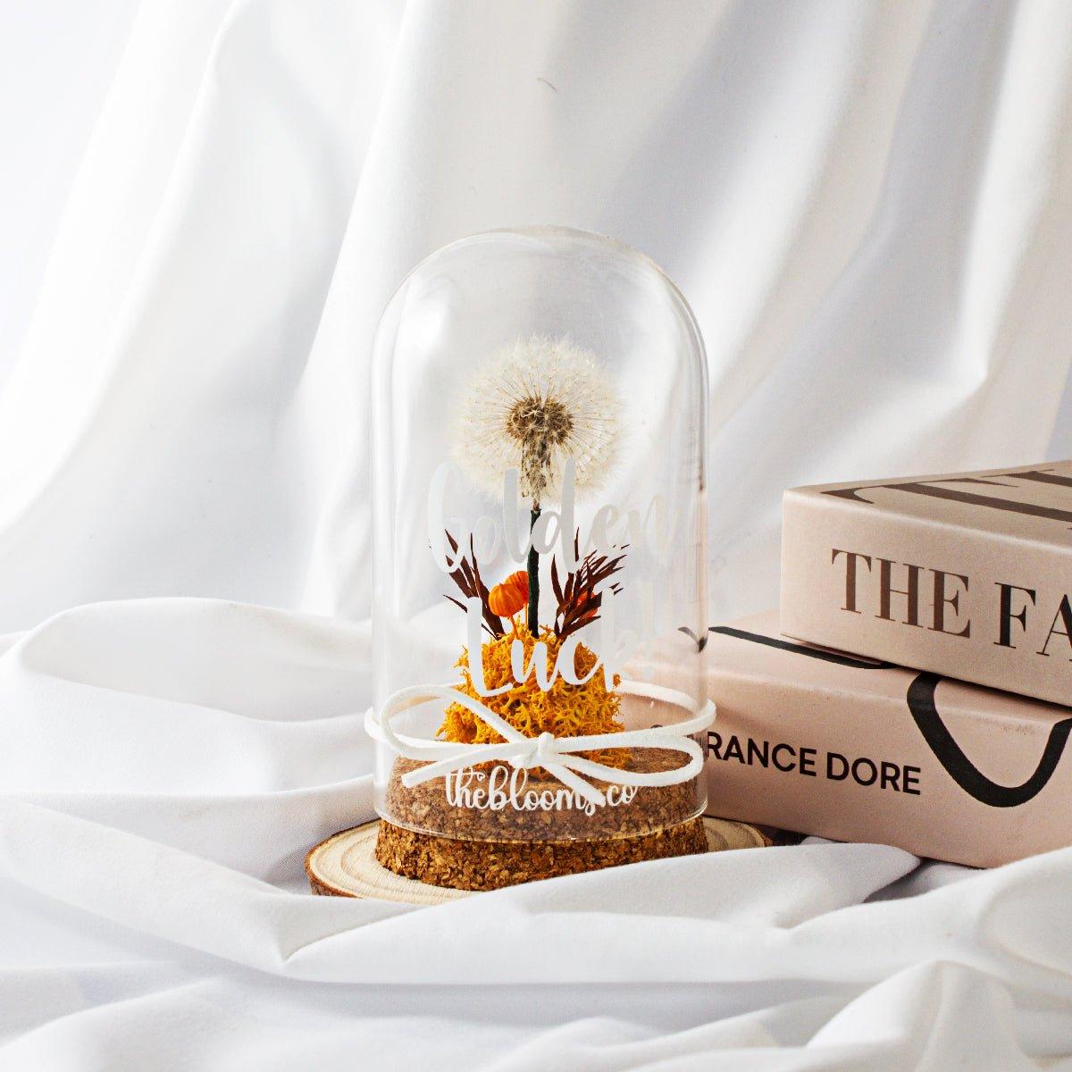 
Glass dome with a single, white dandelion puffball and a small cluster of Orange preserved flowers inside. The dome is on a round wooden base and tied with a white ribbon.